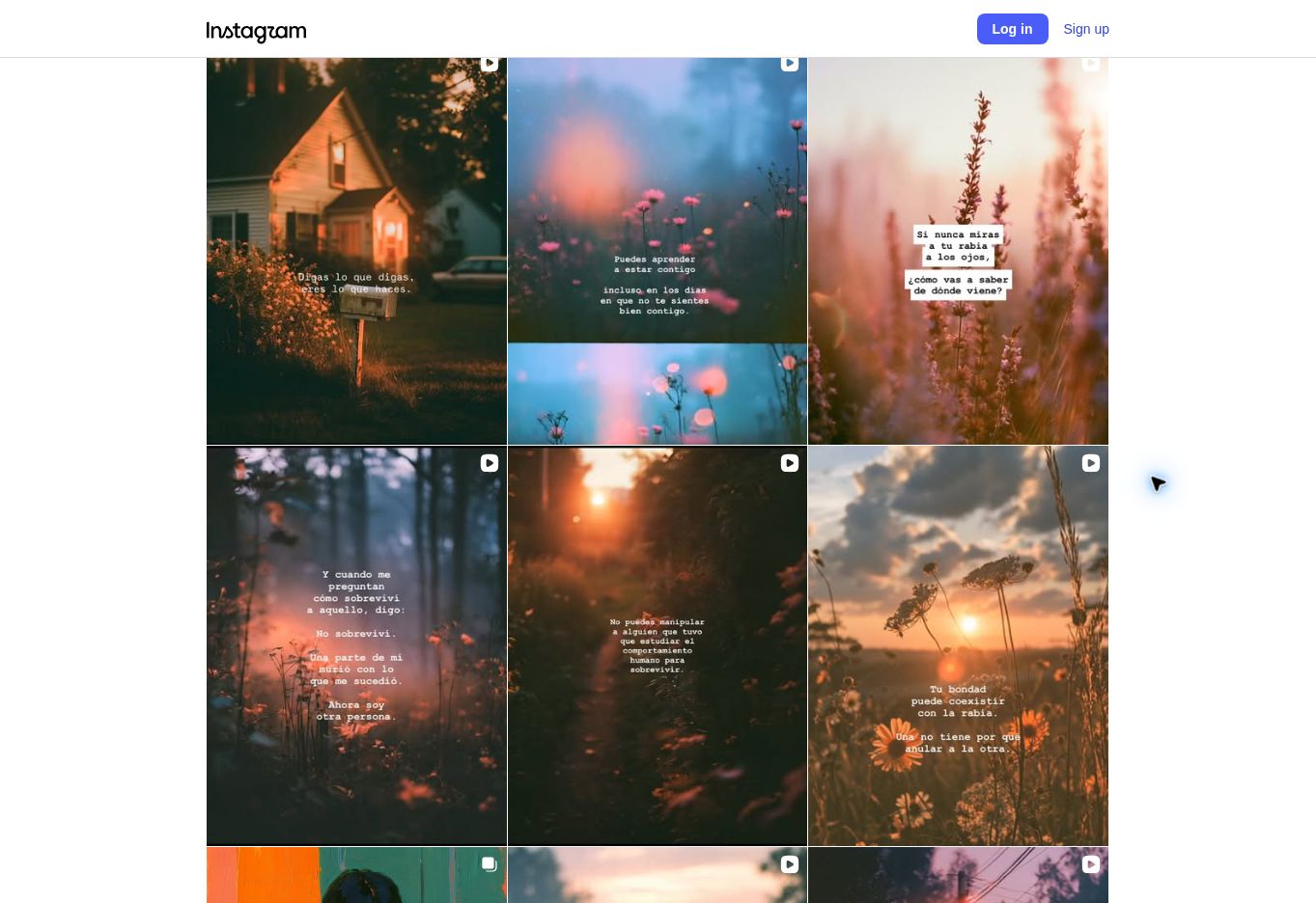 A view of Anna’s Instagram grid: flowers, forest light and reflective Spanish-language text.